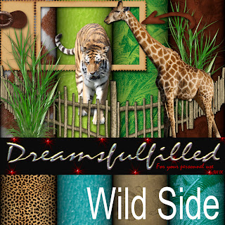 http://feedproxy.google.com/~r/Dreamsfulfilled/~3/RkaPiwBMh4k/wild-side-element-1.html