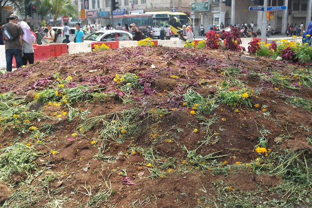 merdeka day 2015 flower trampled