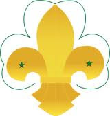 LA INSIGNIA MUNDIAL: FLOR DE LIS