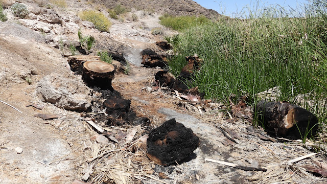 Lake Mead National Recreation Area