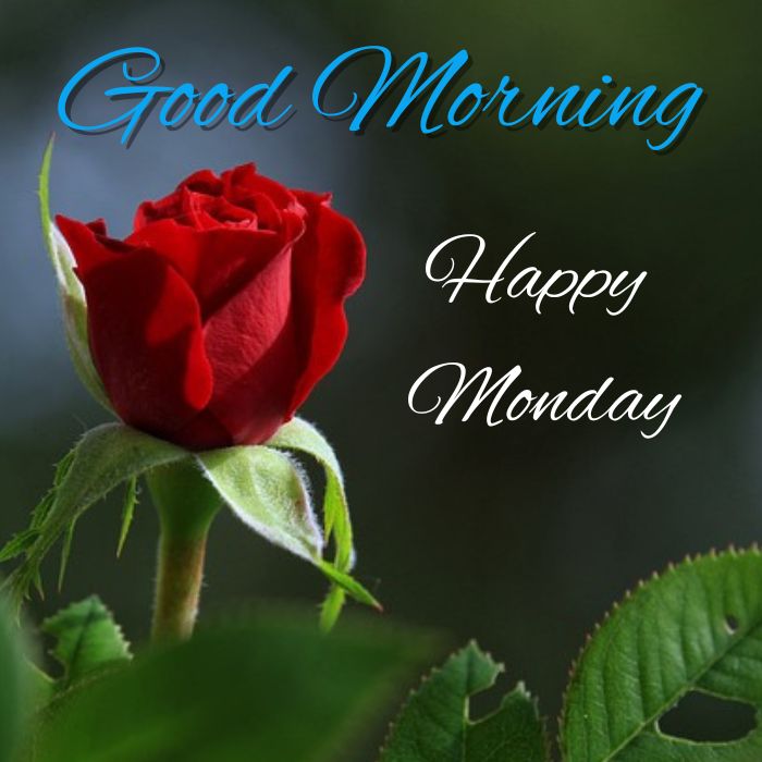 Good Morning Monday Images