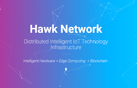 Hawk Network - Cara Baru Mendistribusikan Infrastruktur IoT