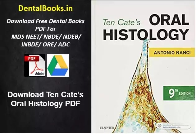 Download Download Ten Cate's Oral Histology PDF