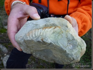 P1130071