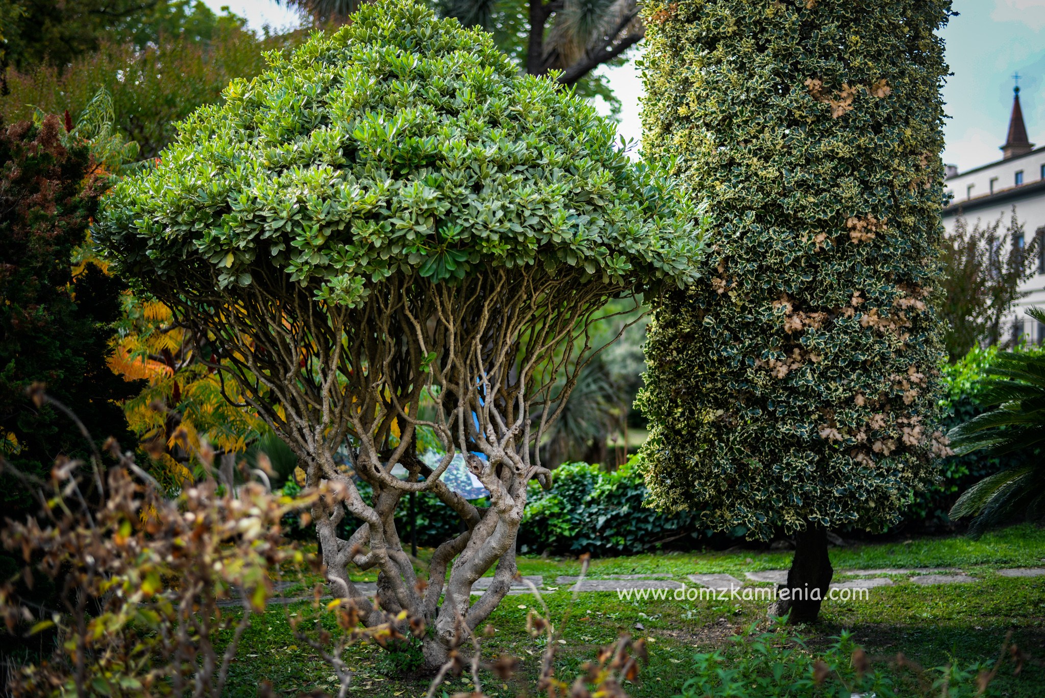 Giardino dei Semplici Florencja Dom z Kamienia Sekrety Florencji