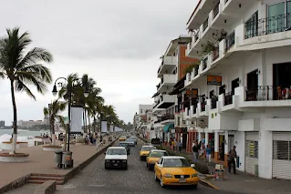 photo from a street corner with palm trees lining the street to the left and a white building with balconies to the right of the street