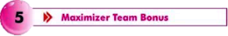 Maximizer Team Bonus