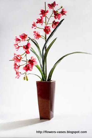 Flowers vases:vases-15215