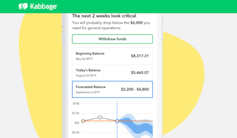 Kabbage Insights