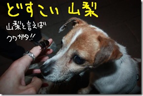 今日カズ１００６０７　２１