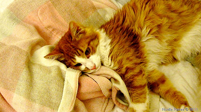 Time to cuddle