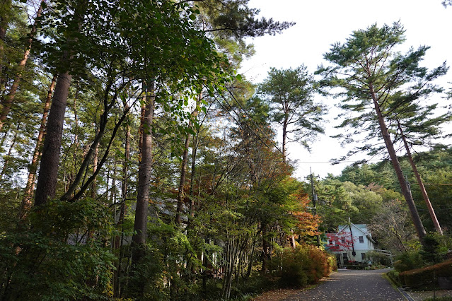 鳥取県西伯郡伯耆町丸山　ロイヤルシティ大山　別荘地