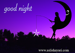 Good Night Shayari In Hindi