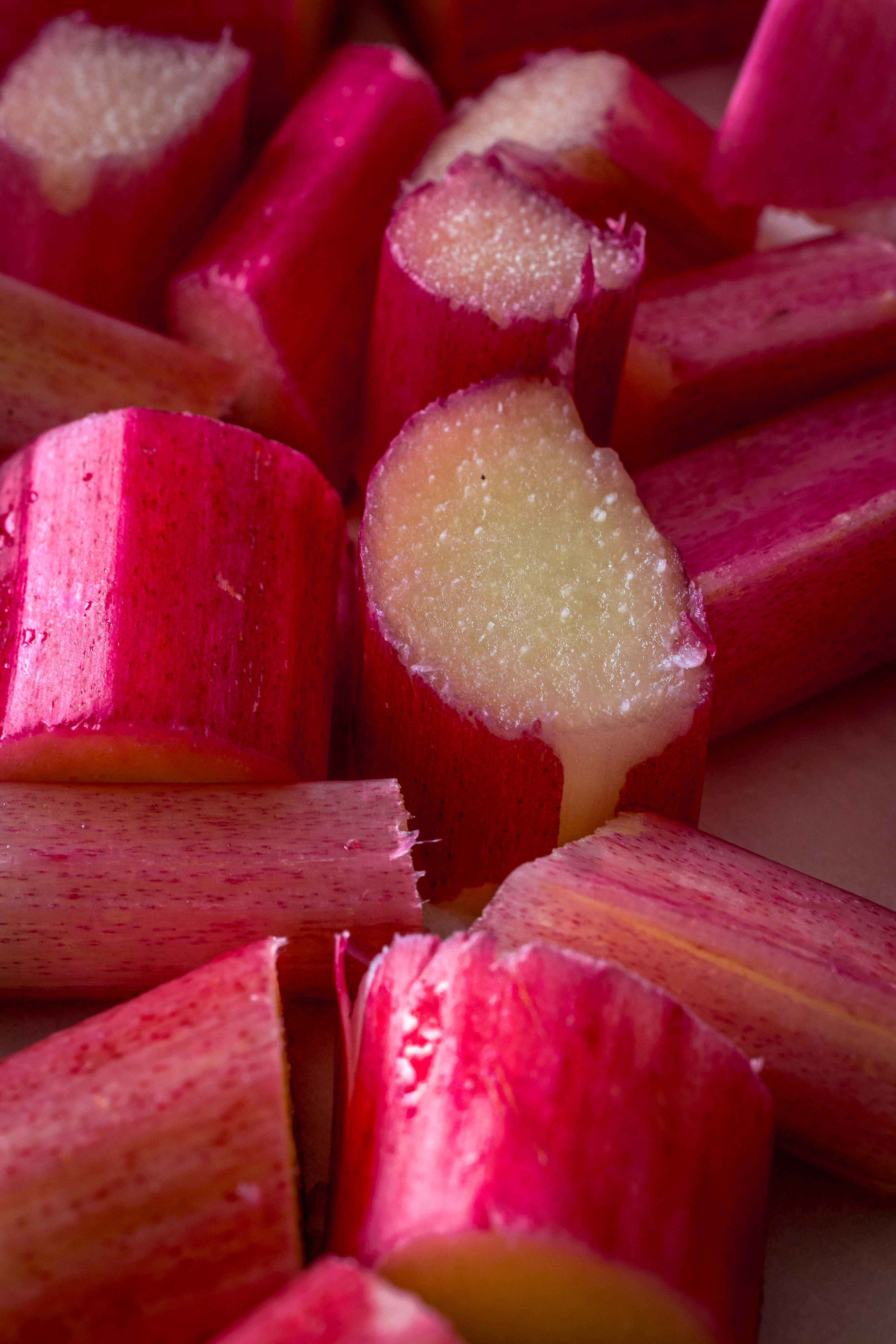 Petites crème vanille rhubarbe