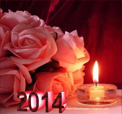 Happy New Year Flower 2014 - Greeting Friends with Flowers