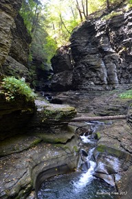 Pools in the gorge