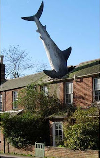 patung unik the shark