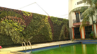 Vertical garden