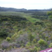 View album
