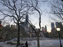 IMG_5334