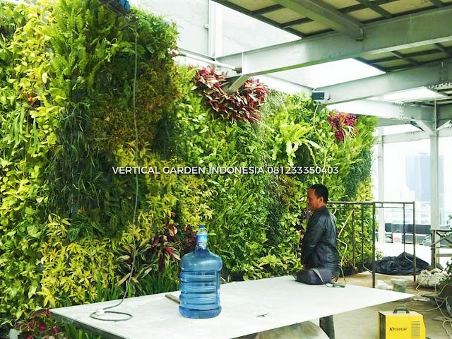 VERTICAL GARDEN INDONESIA SPESIALIS JASA PEMBUATAN VERTICAL GARDEN DI BINTARO DAN DI SELURUH WILAYAH BINTARO DENGAN TENAGA YANG PROFESIONAL DAN DAPAT DI PERCAYA YANG SELALU MENGUTAMAKAN SEBUAH MUTU DAN KUALITAS PEMASANGAN VERTICAL GARDEN/TAMAN DINDING, JASA TUKANG TAMAN VERTICAL BINTARO, JASA VERTICAL GARDEN BINTARO