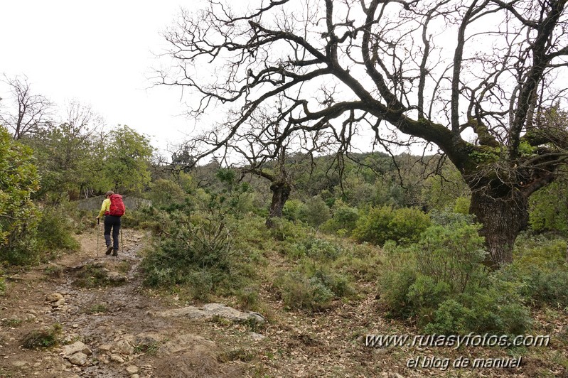 Sendero El Bosque - Benamahoma - Grazalema