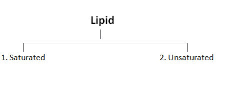 Saturated and Unsaturated Lipids