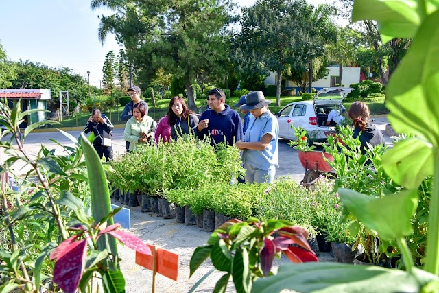MÁS DE 20 MIL PLANTAS ENTREGADAS EN EL PROGRAMA DE DONACIÓN DEL VIVERO MUNICIPAL 2025
