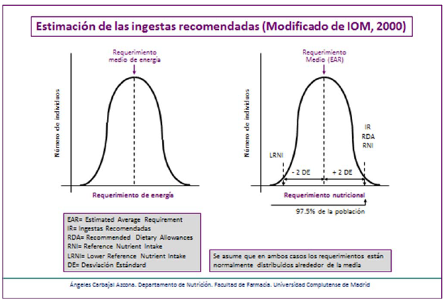 Ingestas recomendadas