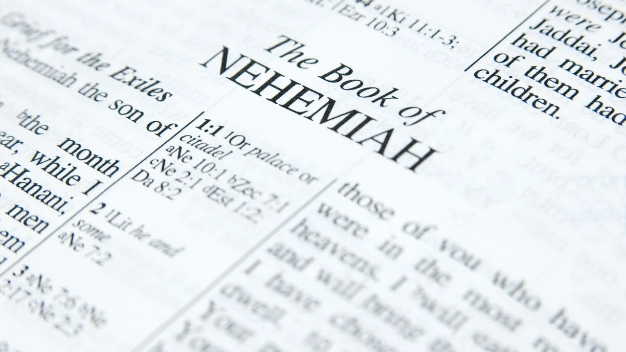 Catholic Introduction To The Old Testament: The Book of Nehemiah