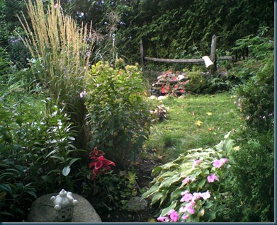 Image 014