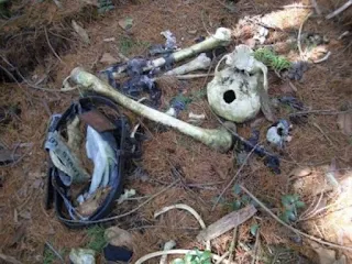 Aokigahara Suicide Forest