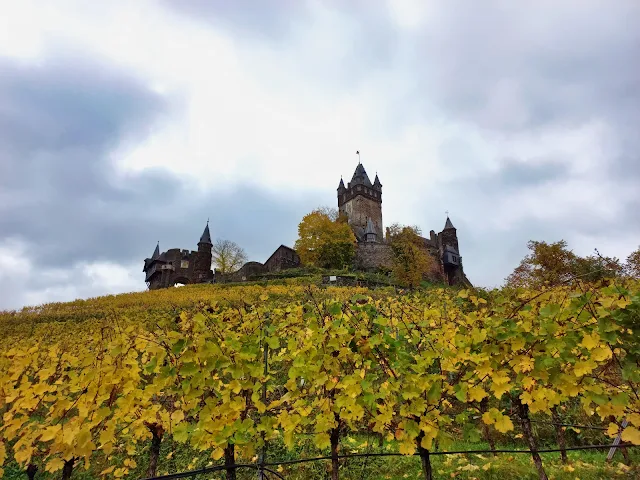 View of vinyard and the Reichsburg Cochem