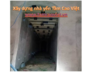 nha-yen-anh-viet-o-bu-dang-binh-phuoc