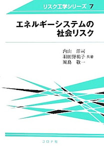 エネルギーシステムの社会リスク (リスク工学シリーズ)