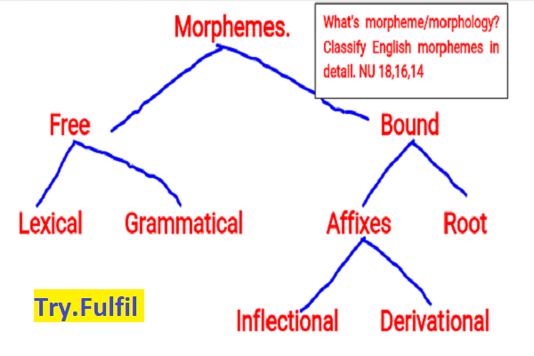 Classification of morphemes with diagram | Major classes of morpheme.