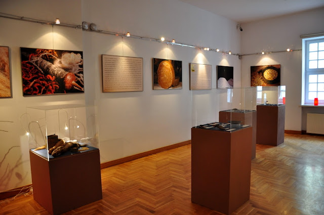 Targi, kupcy i płacidła - wystawa w Muzeum Archeologicznym w Poznaniu