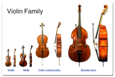 violin family