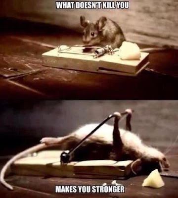 tikus terperangkap what doesnt kill you makes you stronger