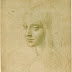 Drawings of Leonardo da Vinci at Legion of Honor Exhibited for the First Time in U.S.