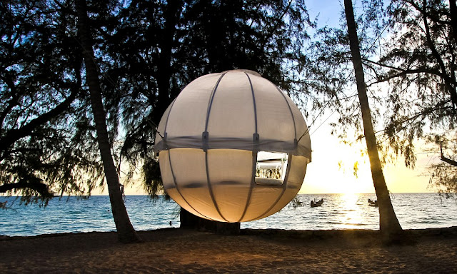 Cocoon Tree Bed in National Park