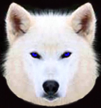 White Wolf Logo Blue eyes