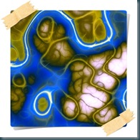 bacteria