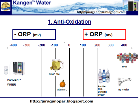 Kangen Water Buah Karya Teknologi Terbaik Abad 21