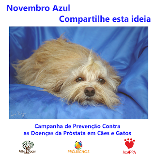 Cartaz de campanha de prevenção contra doenças da próstata em cães e gatos