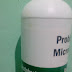 Nata De Cassava - Acetobacter xylinum