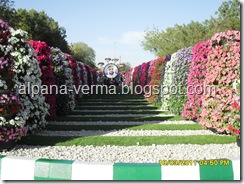 SAM_2521