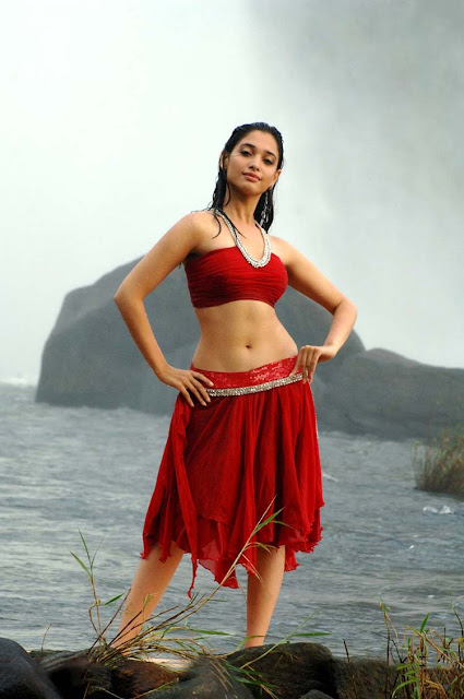 Tamannaah Hot and Sexy Photos Photo Gallery