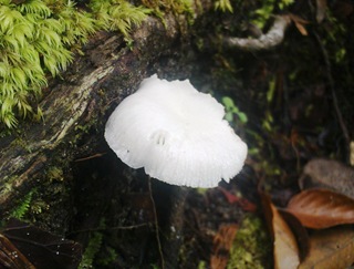 DSC03098