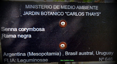 Jardim Botânico Carlos Thays 